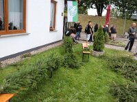 IMG 9698