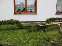IMG 9699