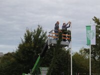 IMG 9708
