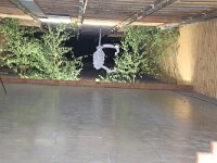 IMG 9811