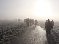 IMG 6245