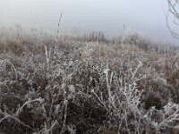 IMG 6267