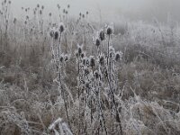 IMG 6273