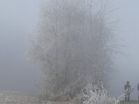 IMG 6274
