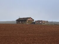 IMG 0537